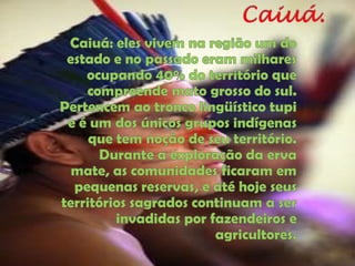 Caiuá.Caiuá: eles vivem na região um do estado e no passado eram milhares ocupando 40% do território que compreende mato grosso do sul. Pertencem ao tronco lingüístico tupi e é um dos únicos grupos indígenas que tem noção de seu território. Durante a exploração da erva mate, as comunidades ficaram em pequenas reservas, e até hoje seus territórios sagrados continuam a ser invadidas por fazendeiros e agricultores.
