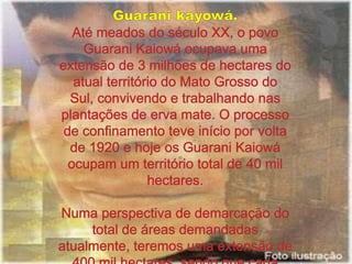Guarani kayowá.Até meados do século XX, o povo Guarani Kaiowá ocupava uma extensão de 3 milhões de hectares do atual território do Mato Grosso do Sul, convivendo e trabalhando nas plantações de erva mate. O processo de confinamento teve início por volta de 1920 e hoje os Guarani Kaiowá ocupam um território total de 40 mil hectares.   Numa perspectiva de demarcação do total de áreas demandadas atualmente, teremos uma extensão de 400 mil hectares, sendo que cada território teria em média de 5 a 15 mil hectares.