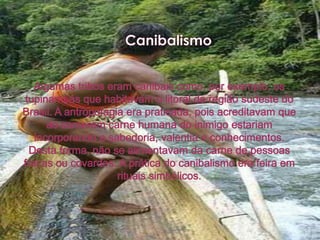 CanibalismoAlgumas tribos eram canibais como, por exemplo, os tupinambás que habitavam o litoral da região sudeste do Brasil. A antropofagia era praticada, pois acreditavam que ao comerem carne humana do inimigo estariam incorporando a sabedoria, valentia e conhecimentos. Desta forma, não se alimentavam da carne de pessoas fracas ou covardes. A prática do canibalismo era feira em rituais simbólicos. 