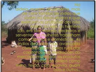 Na aldeia, moram, atualmente, mais de cem famílias de índios que vivem na área urbana e que exercem as profissões dos não índios, ou seja, os homens são, em sua maioria, pedreiros e serventes; as mulheres trabalham como diaristas e domésticas. As índias de idade mais avançada comercializam, pelas ruas das capital ou nas mediações do mercado municipal, os produtos trazidos da aldeia como milho, feijão, caju, guavira, guariroba e outros..