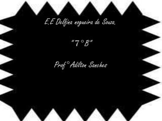 E.E Delfina nogueira de Souza.“ 7° B”Prof° Adilton Sanches