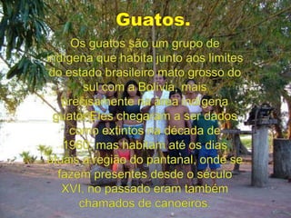 Guatos.Os guatos são um grupo de indígena que habita junto aos limites do estado brasileiro mato grosso do sul com a Bolívia, mais precisamente na área indígena guato. Eles chegaram a ser dados como extintos na década de 1960, mas habitam até os dias atuais a região do pantanal, onde se fazem presentes desde o século XVI, no passado eram também chamados de canoeiros.