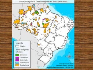 Povos indigenas brasil 2