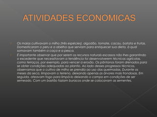    Os maias cultivavam o milho (três espécies), algodão, tomate, cacau, batata e frutas.
    Domesticaram o peru e a abelha que serviam para enriquecer sua dieta, à qual
    somavam também a caça e a pesca.
   É importante observar que por serem os recursos naturais escassos não lhes garantindo
    o excedente que necessitavam a tendência foi desenvolverem técnicas agrícolas,
    como terraços, por exemplo, para vencer a erosão. Os pântanos foram drenados para
    se obter condições adequadas ao plantio. Ao lado desses progressos técnicos,
    observamos que o cultivo de milho se prendia ao uso das queimadas. Durante os
    meses da seca, limpavam o terreno, deixando apenas as árvores mais frondosas. Em
    seguida, ateavam fogo para limpá-lo deixando o campo em condições de ser
    semeado. Com um bastão faziam buracos onde se colocavam as sementes.
 