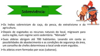 Sobrevivência:
Os índios sobreviviam da caça, da pesca, do extrativismo e da
agricultura.
Depois de esgotados os recursos naturais do local, migravam para
outra região, num regime semi-sedentário. “Nômade”
Suas aldeias abrigam até 700 habitantes. Levando em conta as
possibilidades de abastecimento e as condições de segurança da área,
um conselho de chefes determinava o local onde eram erguidas.
As aldeias eram formadas por ocas (cabanas).
 