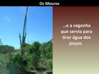 …e a cegonha
que servia para
tirar água dos
poços.
Os Mouros
 