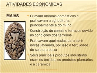 Sociedades Pré-Colombianas  Criavam animais domésticos e praticavam a agricultura, principalmente a do milho Construção de canais e terraços devido as condições dos terrenos Praticavam queimadas para abrir novas lavouras, por isso a fertilidade do solo era baixa Seus principais produtos industriais eram os tecidos, os produtos plumários e a cerâmica 