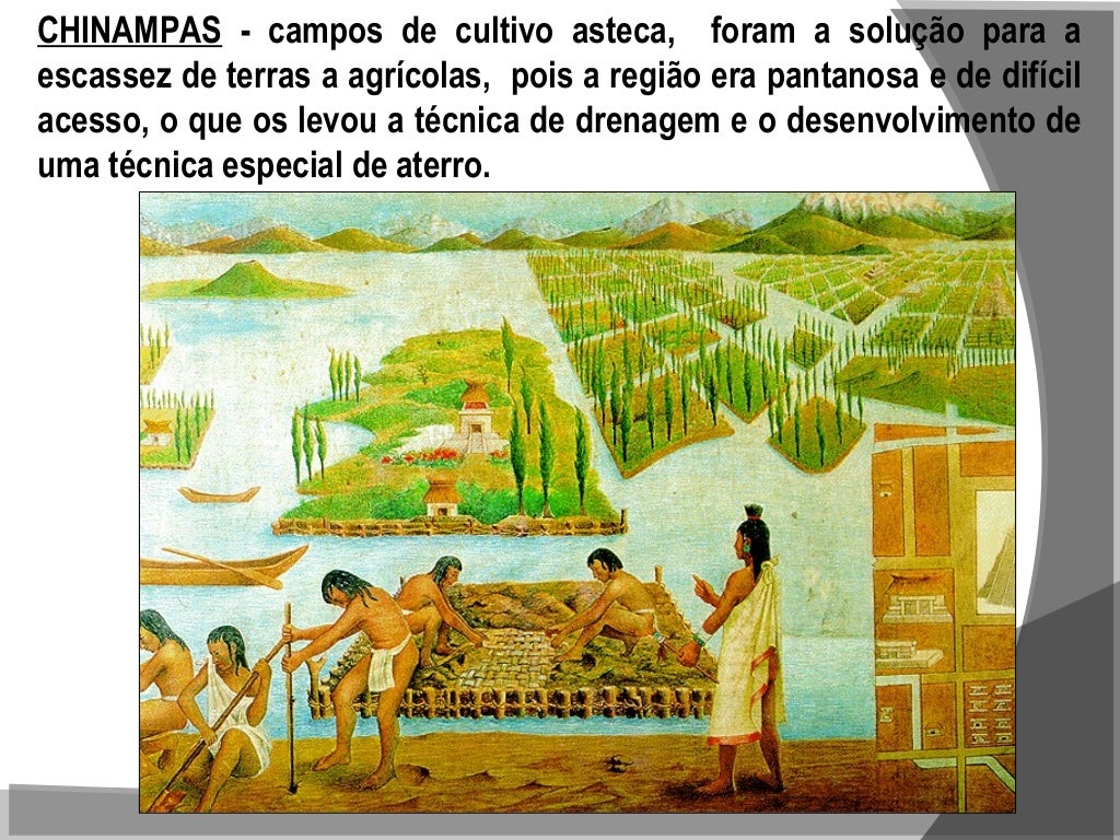 Povo Pré Colombiano Que Ocupou O Mexico