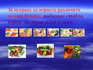 За исхрану се користе различити 
делови биљака: подземно стабло, 
корен, листови, плод и семе. 
 