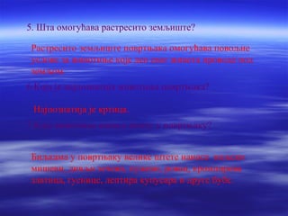 5. Шта омогућава растресито земљиште? 
Растресито земљиште повртњака омогућава повољне 
услове за животиње које део свог живота проводе под 
земљом. 
6.Која је најпознатија животиња повртњака? 
Најпознатија је кртица. 
7.Које животиње наносе штету у повртњаку? 
Биљкама у повртњаку велике штете наносе пољски 
мишеви, дивљи зечеви, пужеви, ровац, кромпирова 
златица, гуенице, лептира купусара и друге бубе. 
 