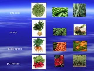 грашак 
целер 
шаргарепа 
ротквице 
 