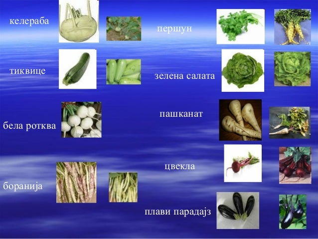 повртњак