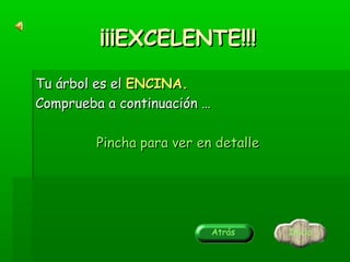 ¡¡¡EXCELENTE!!!
Tu árbol es el ENCINA.
Comprueba a continuación …
Pincha para ver en detalle

Atrás

Inicio

 