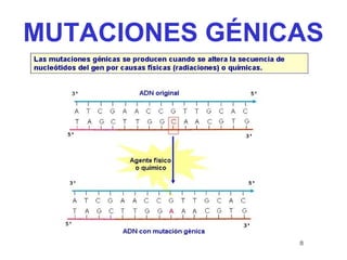 MUTACIONES GÉNICAS
 
