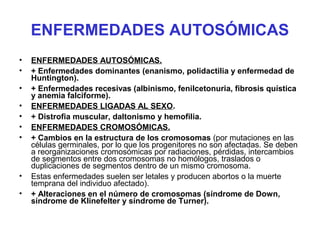 ENFERMEDADES AUTOSÓMICAS
• ENFERMEDADES AUTOSÓMICAS.
• + Enfermedades dominantes (enanismo, polidactilia y enfermedad de
Huntington).
• + Enfermedades recesivas (albinismo, fenilcetonuria, fibrosis quística
y anemia falciforme).
• ENFERMEDADES LIGADAS AL SEXO.
• + Distrofia muscular, daltonismo y hemofilia.
• ENFERMEDADES CROMOSÓMICAS.
• + Cambios en la estructura de los cromosomas (por mutaciones en las
células germinales, por lo que los progenitores no son afectadas. Se deben
a reorganizaciones cromosómicas por radiaciones, pérdidas, intercambios
de segmentos entre dos cromosomas no homólogos, traslados o
duplicaciones de segmentos dentro de un mismo cromosoma.
• Estas enfermedades suelen ser letales y producen abortos o la muerte
temprana del individuo afectado).
• + Alteraciones en el número de cromosomas (síndrome de Down,
síndrome de Klinefelter y síndrome de Turner).
 