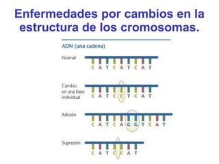 Enfermedades por cambios en la
estructura de los cromosomas.
 