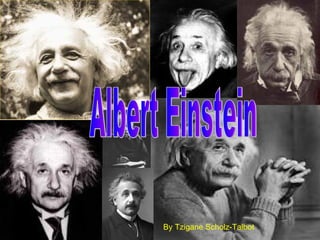 Albert Einstein By Tzigane Scholz-Talbot 