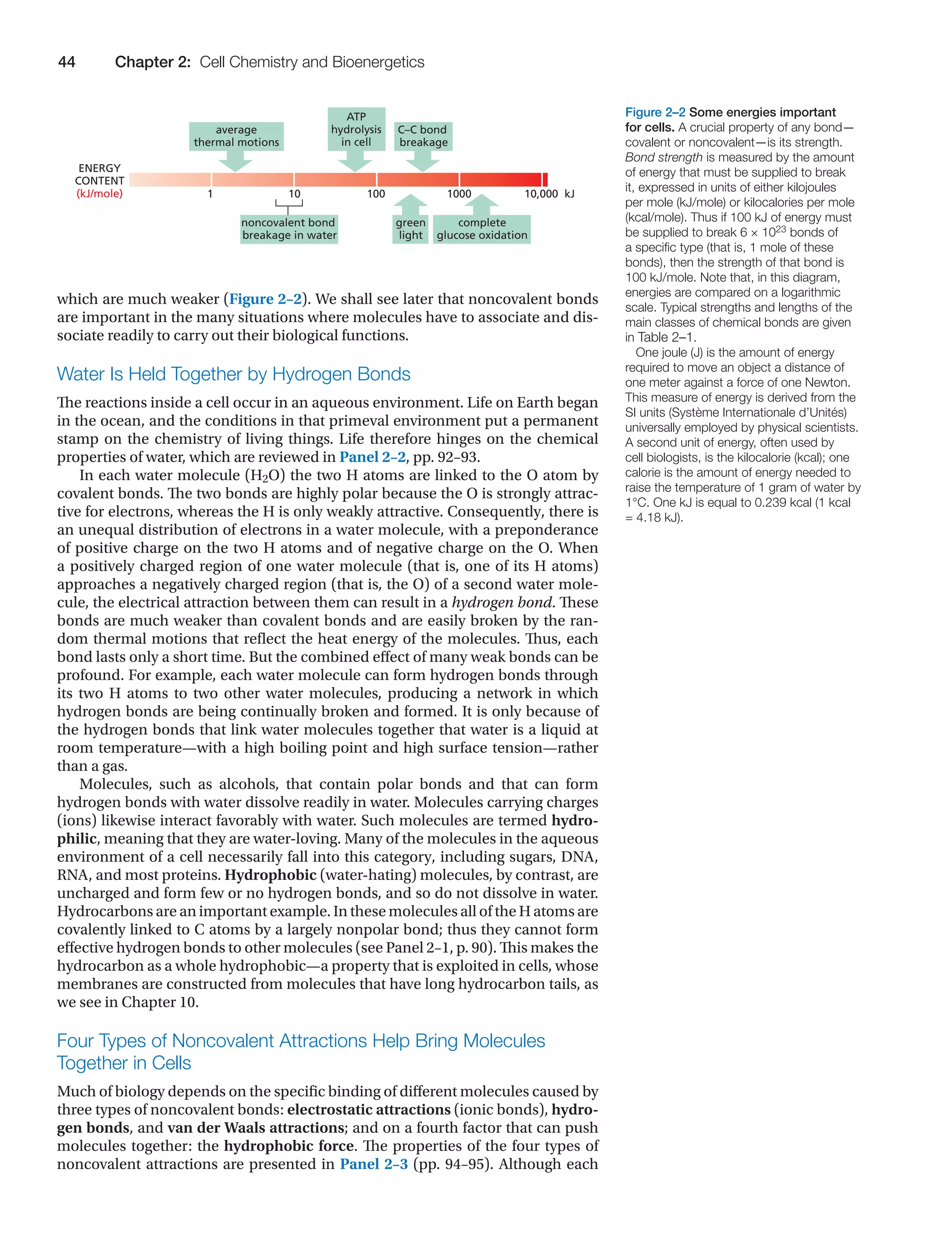 Molecular.biology.of.the.cell.alberts.6th.ed