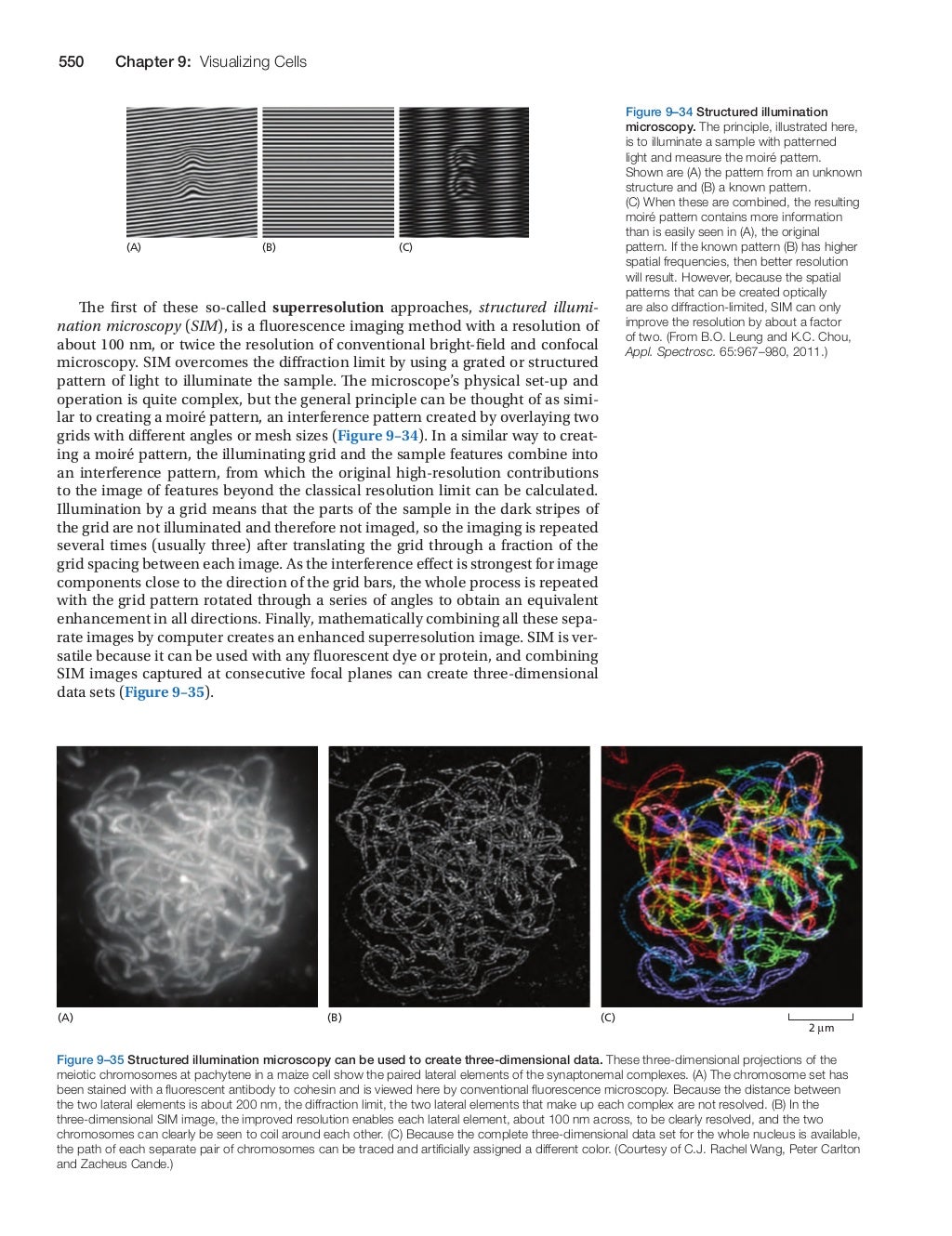 Molecular.biology.of.the.cell.alberts.6th.ed