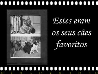 Estes eram os seus cães favoritos 