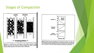 Stages of Compaction
 