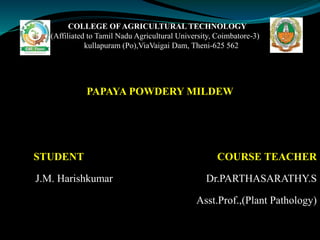COLLEGE OF AGRICULTURAL TECHNOLOGY
( (Affiliated to Tamil Nadu Agricultural University, Coimbatore-3)
kullapuram (Po),ViaVaigai Dam, Theni-625 562
PAPAYA POWDERY MILDEW
STUDENT COURSE TEACHER
J.M. Harishkumar Dr.PARTHASARATHY.S
Asst.Prof.,(Plant Pathology)
 