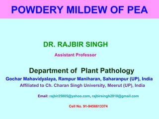POWDERY MILDEW OF PEA
DR. RAJBIR SINGH
Assistant Professor
Department of Plant Pathology
Gochar Mahavidyalaya, Rampur Maniharan, Saharanpur (UP), India
Affiliated to Ch. Charan Singh University, Meerut (UP), India
Email: rajbir25805@yahoo.com, rajbirsingh2810@gmail.com
Cell No. 91-9456613374
 