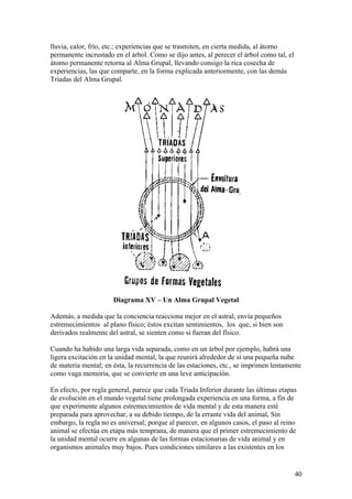 lluvia, calor, frío, etc.; experiencias que se trasmiten, en cierta medida, al átomo
permanente incrustado en el árbol. Como se dijo antes, al perecer el árbol como tal, el
átomo permanente retorna al Alma Grupal, llevando consigo la rica cosecha de
experiencias, las que comparte, en la forma explicada anteriormente, con las demás
Tríadas del Alma Grupal.




                      Diagrama XV – Un Alma Grupal Vegetal

Además, a medida que la conciencia reacciona mejor en el astral, envía pequeños
estremecimientos al plano físico; éstos excitan sentimientos, los que, si bien son
derivados realmente del astral, se sienten como si fueran del físico.

Cuando ha habido una larga vida separada, como en un árbol por ejemplo, habrá una
ligera excitación en la unidad mental, la que reunirá alrededor de sí una pequeña nube
de materia mental; en ésta, la recurrencia de las estaciones, etc., se imprimen lentamente
como vaga memoria, que se convierte en una leve anticipación.

En efecto, por regla general, parece que cada Triada Inferior durante las últimas etapas
de evolución en el mundo vegetal tiene prolongada experiencia en una forma, a fin de
que experimente algunos estremecimientos de vida mental y de esta manera esté
preparada para aprovechar, a su debido tiempo, de la errante vida del animal, Sin
embargo, la regla no es universal; porque al parecer, en algunos casos, el paso al reino
animal se efectúa en etapa más temprana, de manera que el primer estremecimiento de
la unidad mental ocurre en algunas de las formas estacionarias de vida animal y en
organismos animales muy bajos. Pues condiciones similares a las existentes en los


                                                                                          40
 