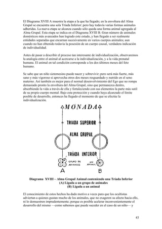 El Diagrama XVIII A muestra la etapa a la que ha llegado; en la envoltura del Alma
Grupal se encuentra una sola Tríada Inferior: pero hay todavía varias formas animales
adheridas. La nueva etapa se alcanza cuando sólo queda una forma animal agregada al
Alma Grupal. Esta etapa se indica en el Diagrama XVIII B. Gran número de animales
domésticos más avanzados han logrado este estado, y han llegado a ser realmente
entidades separadas que encarnan sucesivamente en varios cuerpos animales; aun
cuando no han obtenido todavía la posesión de un cuerpo causal, verdadera indicación
de individualidad.

Antes de pasar a describir el proceso tan interesante de individualización, observaremos
la analogía entre el animal al acercarse a la individualización, y a la vida prenatal
humana. El animal en tal condición corresponde a los dos últimos meses del feto
humano.

Se sabe que un niño sietemesino puede nacer y sobrevivir; pero será más fuerte, más
sano y más vigoroso si aprovecha otros dos meses resguardado y nutrido en el seno
materno. Así también es mejor para el normal desenvolvimiento del Ego que no rompa
demasiado pronto la envoltura del Alma Grupal, sino que permanezca dentro,
absorbiendo la vida a través de ella y fortaleciendo con sus elementos la parte más sutil
de su propio cuerpo mental. Bajo esta protección y cuando haya alcanzado el límite
posible de desarrollo, entonces ha llegado el momento de que se efectúe la
individualización.




    Diagrama XVIII – Alma Grupal Animal conteniendo una Tríada Inferior
                      (A) Ligada a un grupo de animales
                            (B) Ligada a un animal

El conocimiento de estos hechos ha dado motivo a veces para que los ocultistas
adviertan a quienes gustan mucho de los animales, que no exageren su afecto hacia ello,
ni lo demuestren imprudentemente; porque es posible acelerar inconvenientemente el
desarrollo del mismo —como sabemos que puede suceder en el caso de un niño— y


                                                                                       43
 