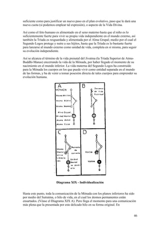 suficiente como para justificar un nuevo paso en el plan evolutivo, paso que le dará una
nueva cuota (si podemos emplear tal expresión), o aspecto de la Vida Divina.

Así como el feto humano es alimentado en el seno materno hasta que el niño es lo
suficientemente fuerte para vivir su propia vida independiente en el mundo externo, así
también la Tríada es resguardada y alimentada por el Alma Grupal; medio por el cual el
Segundo Logos protege y nutre a sus hijitos, hasta que la Tríada es lo bastante fuerte
para lanzarse al mundo externo como unidad de vida, completa en sí misma, para seguir
su evolución independiente.

Así se alcanza el término de la vida prenatal del Jivatma (la Tríada Superior de Atma-
Buddhi-Manas) encerrando la vida de la Mónada, por haber llegado el momento de su
nacimiento en el mundo inferior. La vida materna del Segundo Logos ha construido
para la Mónada los cuerpos en los que puede vivir como entidad separada en el mundo
de las formas, y ha de venir a tomar posesión directa de tales cuerpos para emprender su
evolución humana.




                          Diagrama XIX - Individualización


Hasta este punto, toda la comunicación de la Mónada con los planos inferiores ha sido
por medio del Sutratma, o hilo de vida, en el cual los átomos permanentes están
ensartados. (Véase el Diagrama XIX A). Pero llega el momento para una comunicación
más plena que la presentada por este delicado hilo en su forma original. En


                                                                                      46
 