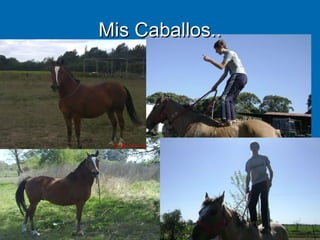 Mis Caballos.. 