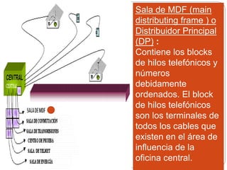 Sala de MDF (main
distributing frame ) o
Distribuidor Principal
(DP) :
Contiene los blocks
de hilos telefónicos y
números
debidamente
ordenados. El block
de hilos telefónicos
son los terminales de
todos los cables que
existen en el área de
influencia de la
oficina central.
 