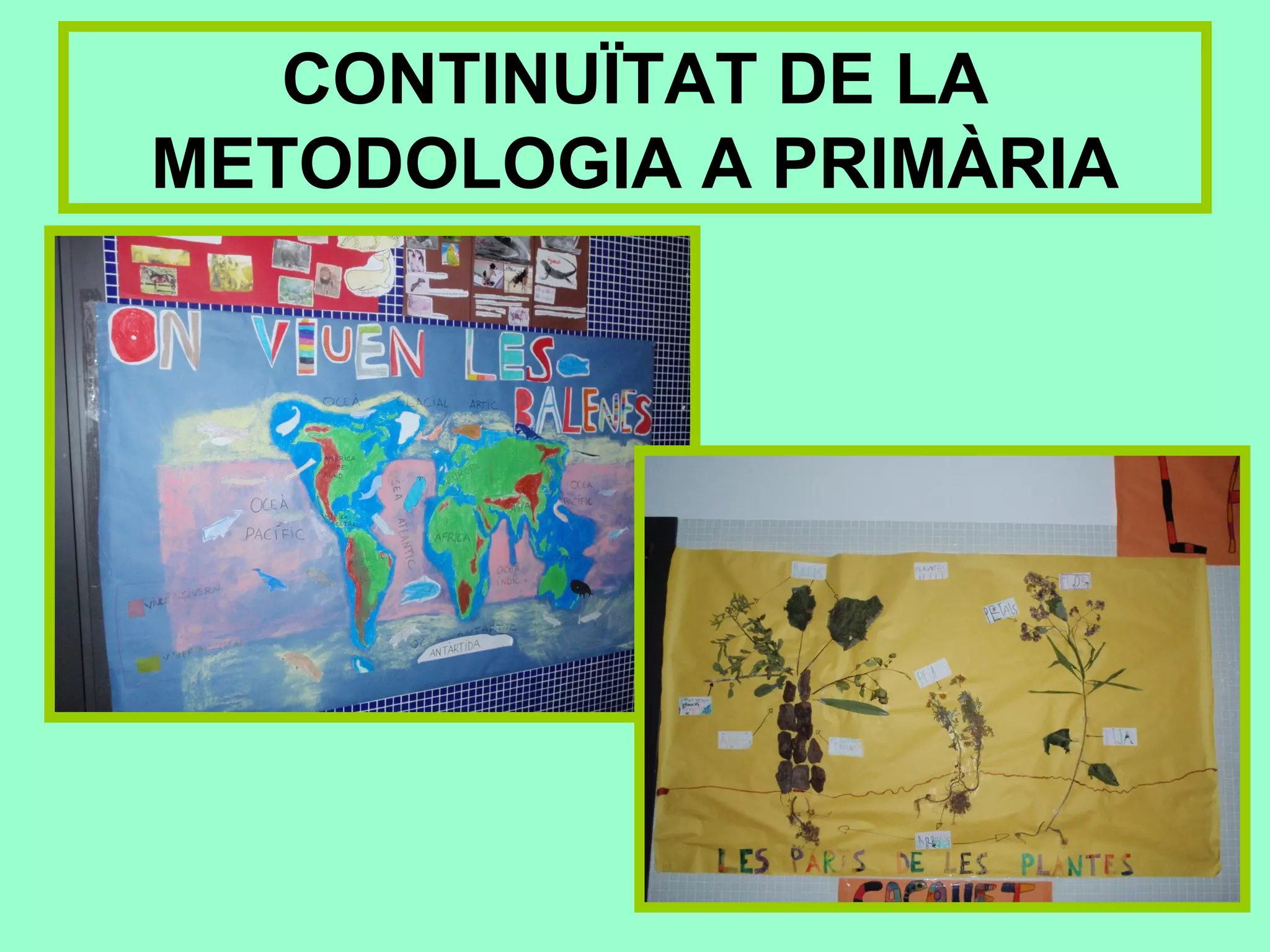 CONTINUÏTAT DE LA
METODOLOGIA A PRIMÀRIA
 