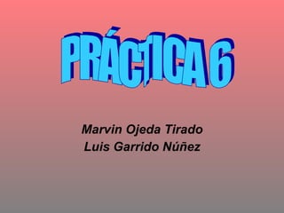 Marvin Ojeda Tirado Luis Garrido Núñez PRÁCTICA 6 