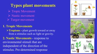 Movement Plant Example Powepoint-plant physiology part 2.pdf