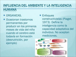 ORGANICAS. Ocasionan trastornos permanentes por producir en los primeros meses de vida del niño cuando el cerebro está todavía en formación (desnutrición, por ejemplo) Enfoques  constructivistas (Piaget, 1973)  Define la inteligencia como la capacidad adaptativa del individuo. No aceptan mediciones. 
