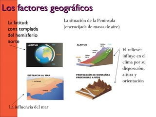 Los factores geográficos
 La latitud:             La situación de la Península
 zona templada           (encrucijada de ma...