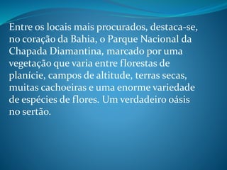 Entre os locais mais procurados, destaca-se,
no coração da Bahia, o Parque Nacional da
Chapada Diamantina, marcado por uma
vegetação que varia entre florestas de
planície, campos de altitude, terras secas,
muitas cachoeiras e uma enorme variedade
de espécies de flores. Um verdadeiro oásis
no sertão.
 