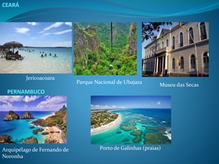 Jericoacoara
Parque Nacional de Ubajara Museu das Secas
PERNAMBUCO
CEARÁ
Arquipélago de Fernando de
Noronha
Porto de Galinhas (praias)
 