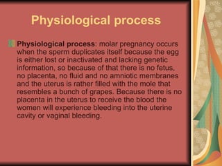 Physiological process Physiological process : molar pregnancy occurs when the sperm duplicates itself because the egg is either lost or inactivated and lacking genetic information, so because of that there is no fetus, no placenta, no fluid and no amniotic membranes and the uterus is rather filled with the mole that resembles a bunch of grapes. Because there is no placenta in the uterus to receive the blood the women will experience bleeding into the uterine cavity or vaginal bleeding. 