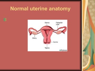 Normal uterine anatomy  