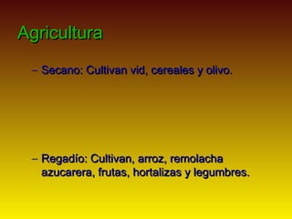 Agricultura
 – Secano: Cultivan vid, cereales y olivo.




 – Regadío: Cultivan, arroz, remolacha
   azucarera, frutas, ho...