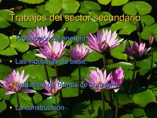 Trabajos del sector secundario

• Producción de energía.

• Las industrias de base.

• Industrias de bienes de consumo.

•...