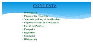  Introduction
 Phases of the Glycolysis
 Schematic pathway of the Glycolysis
 Stepwise reactions of the Glycolysis
 Fate of the Pyruvate
 Energetics
 Regulation
 Conclusion
 Bibliography
CONTENTS
 