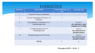 STEP NO. REACTION CONSUMPTION OF
ATP
GAIN OF ATP
1 Glucose Glucose 6-phosphate 1 -
3 Fructose 6-phosphate Fructose 1,6-
phosphate
1 -
6 Glyceraldehyde 3-phosphate 1,3-
bisphosphoglycerate
- (2.5x2)=5
[by respiratory chain
oxidation of 2 NADH]
7 1,3-bisphosphoglycerate 3-
Phosphoglycerate
- (1x2)=2
[by substrate-level
phosphorylation]
10 Phosphoenolpyruvate Pyruvate - (1x2)=2
[by substrate-level
phosphorylation]
TOTAL 2 9
ENERGETICS
*Net gain of ATP = (9-2) = 7
 