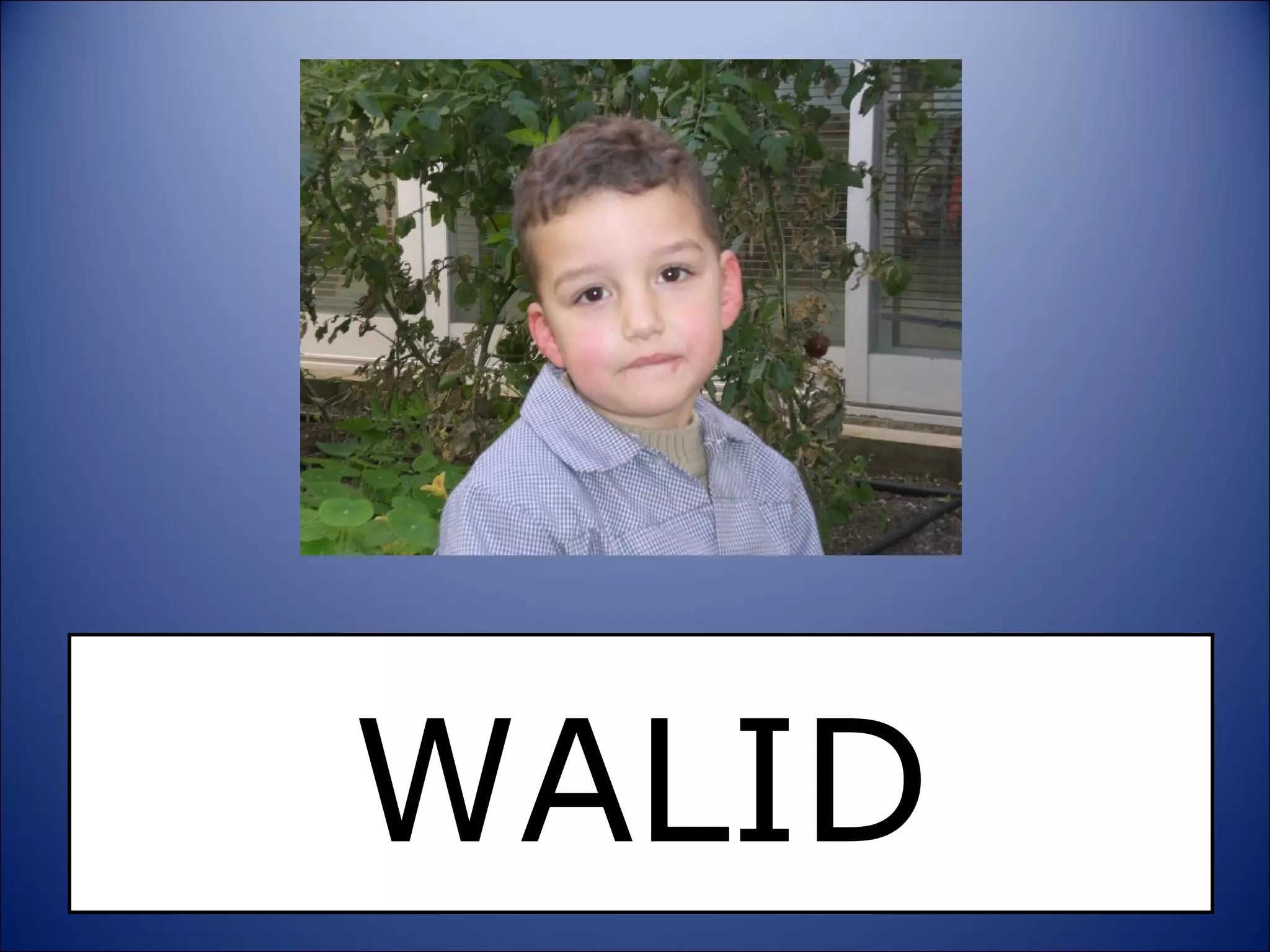 WALID 