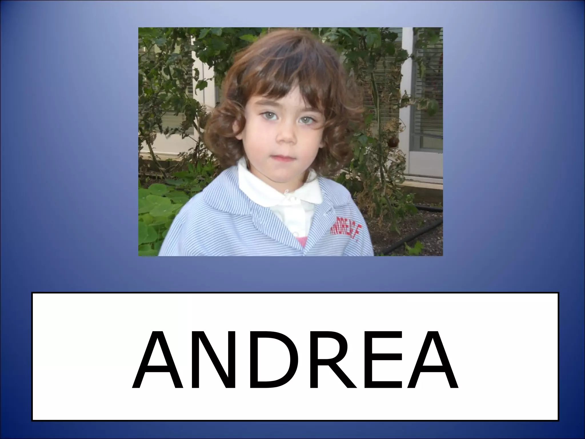 ANDREA 