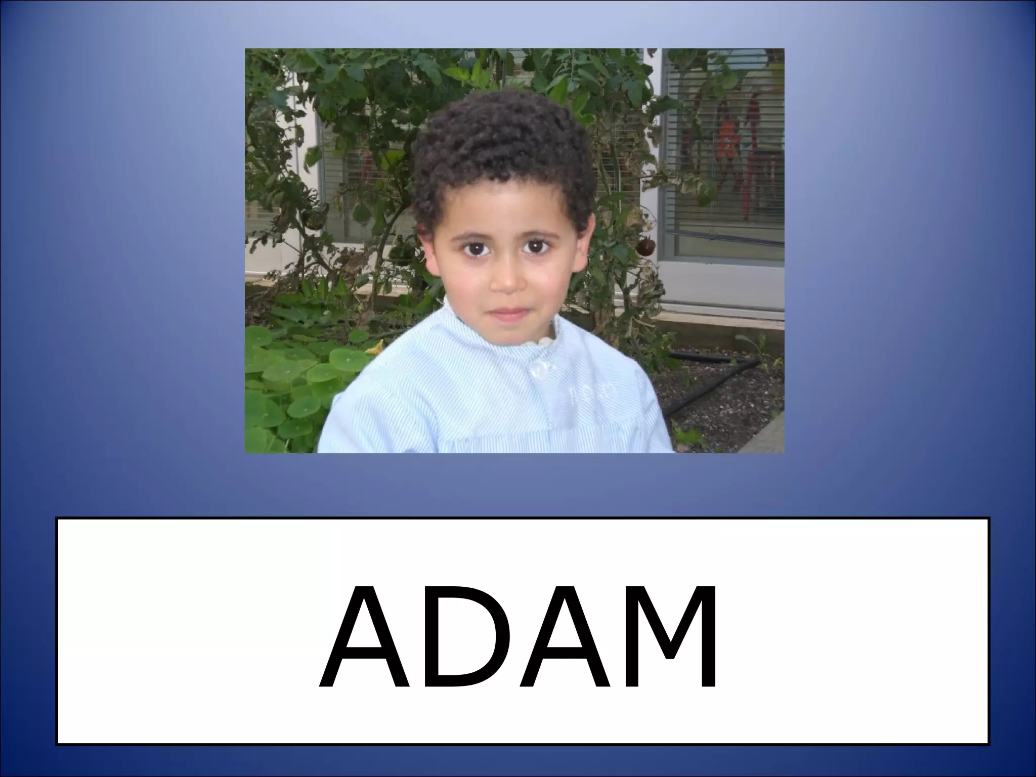 ADAM 