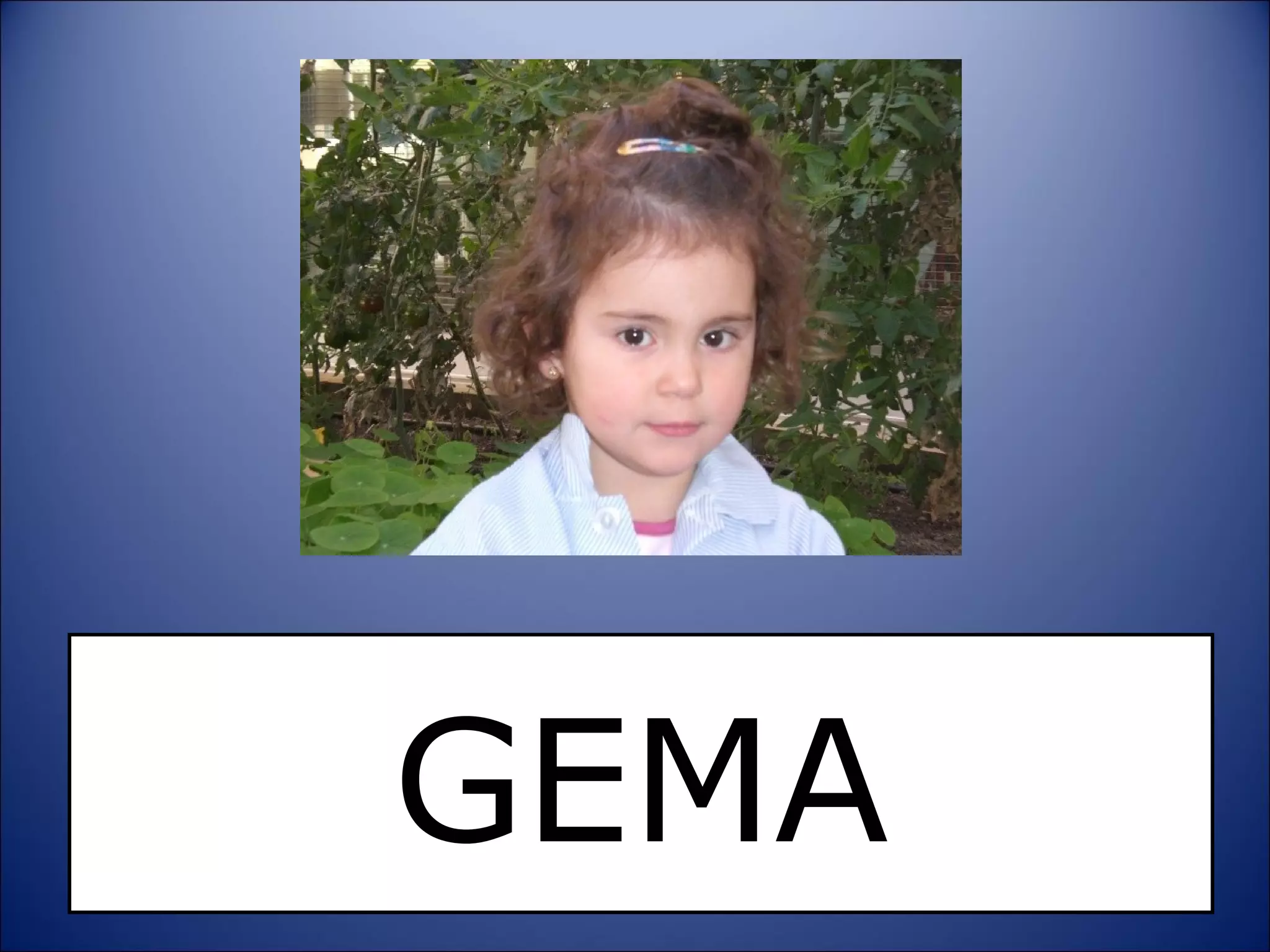 GEMA 