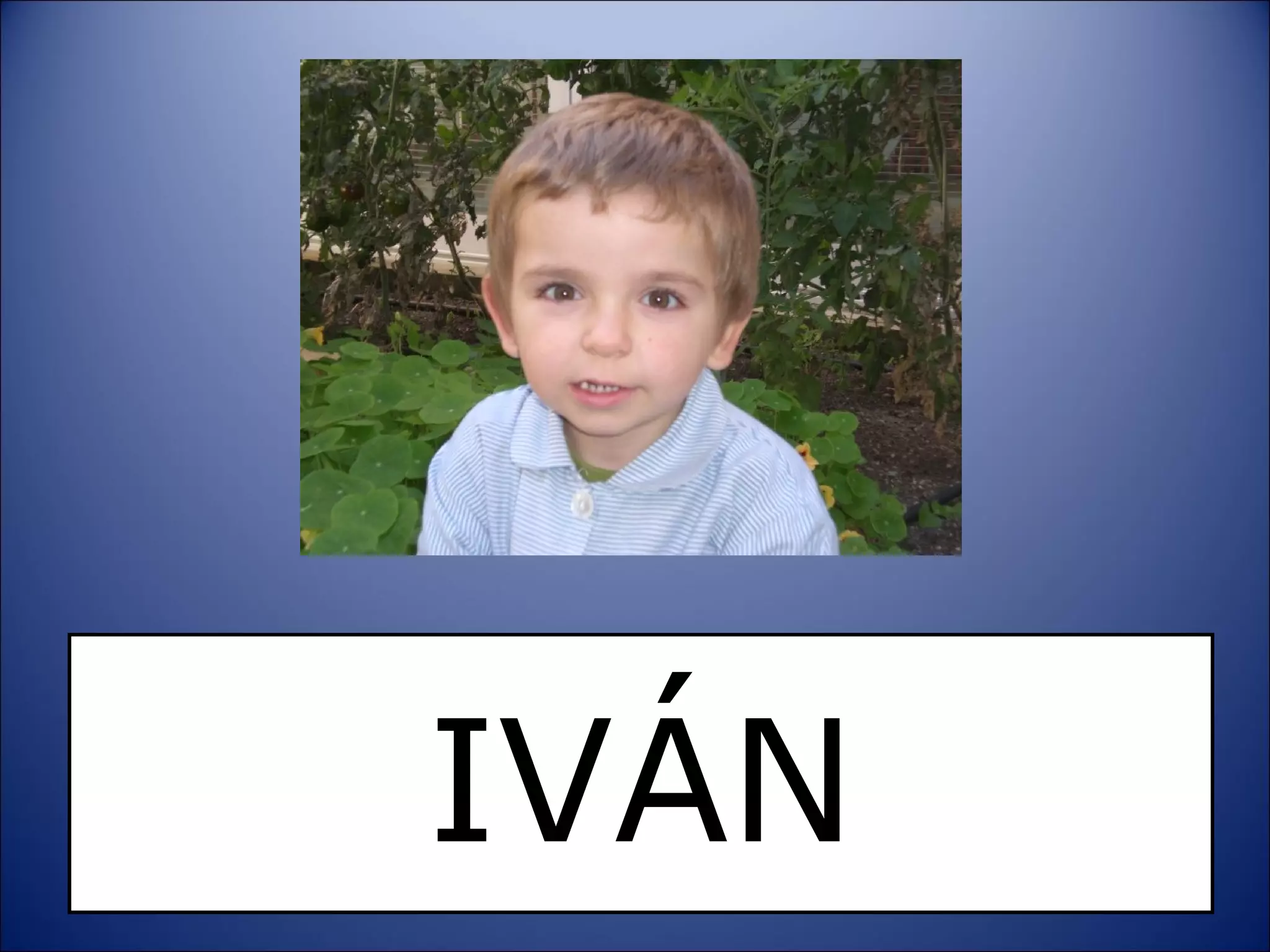 IVÁN 